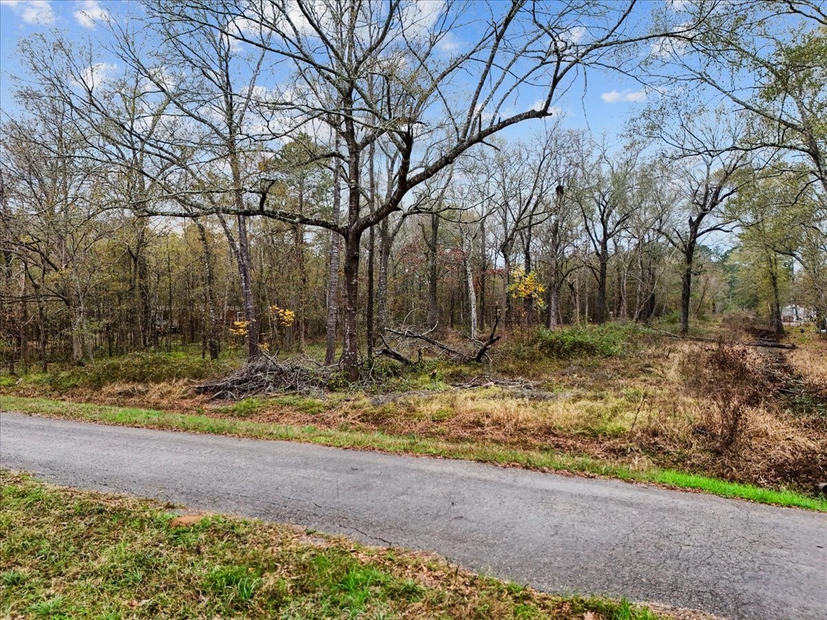 1209 County Road 2145 Property Photo 1