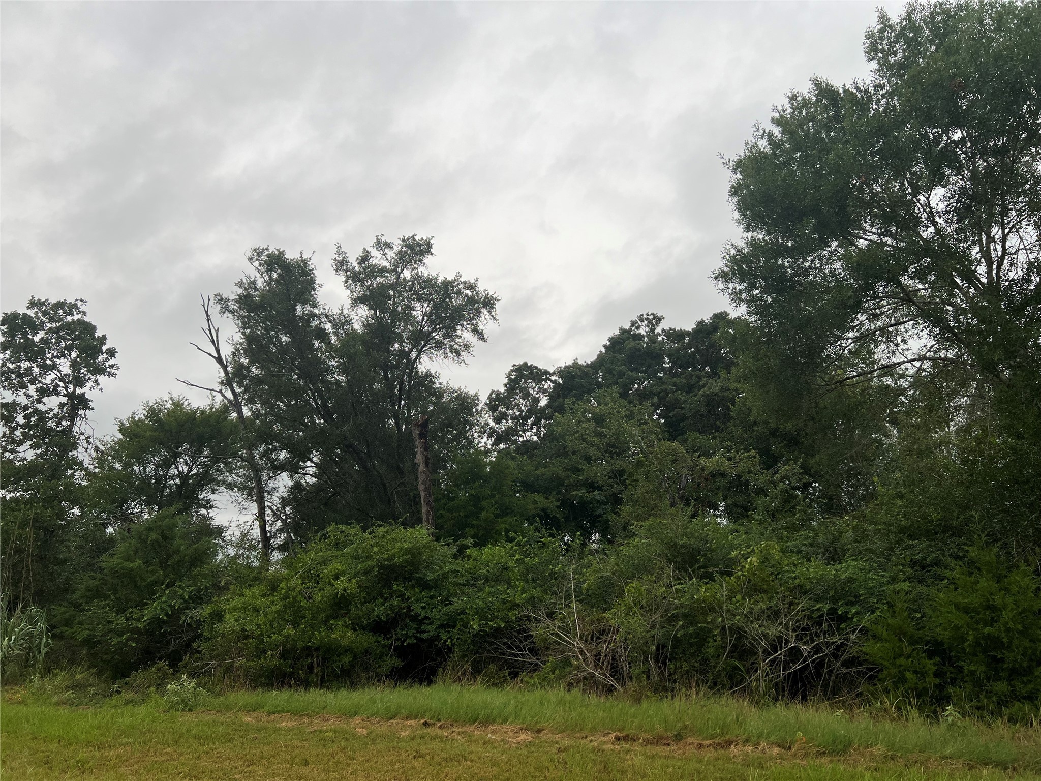 1415 25th Street Property Photo 4