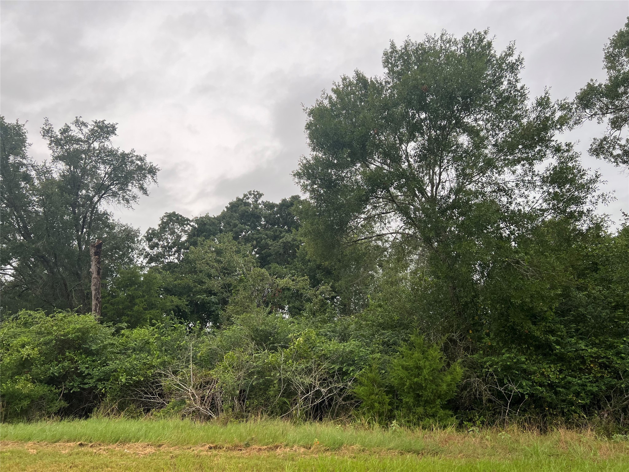 1415 25th Street Property Photo 5