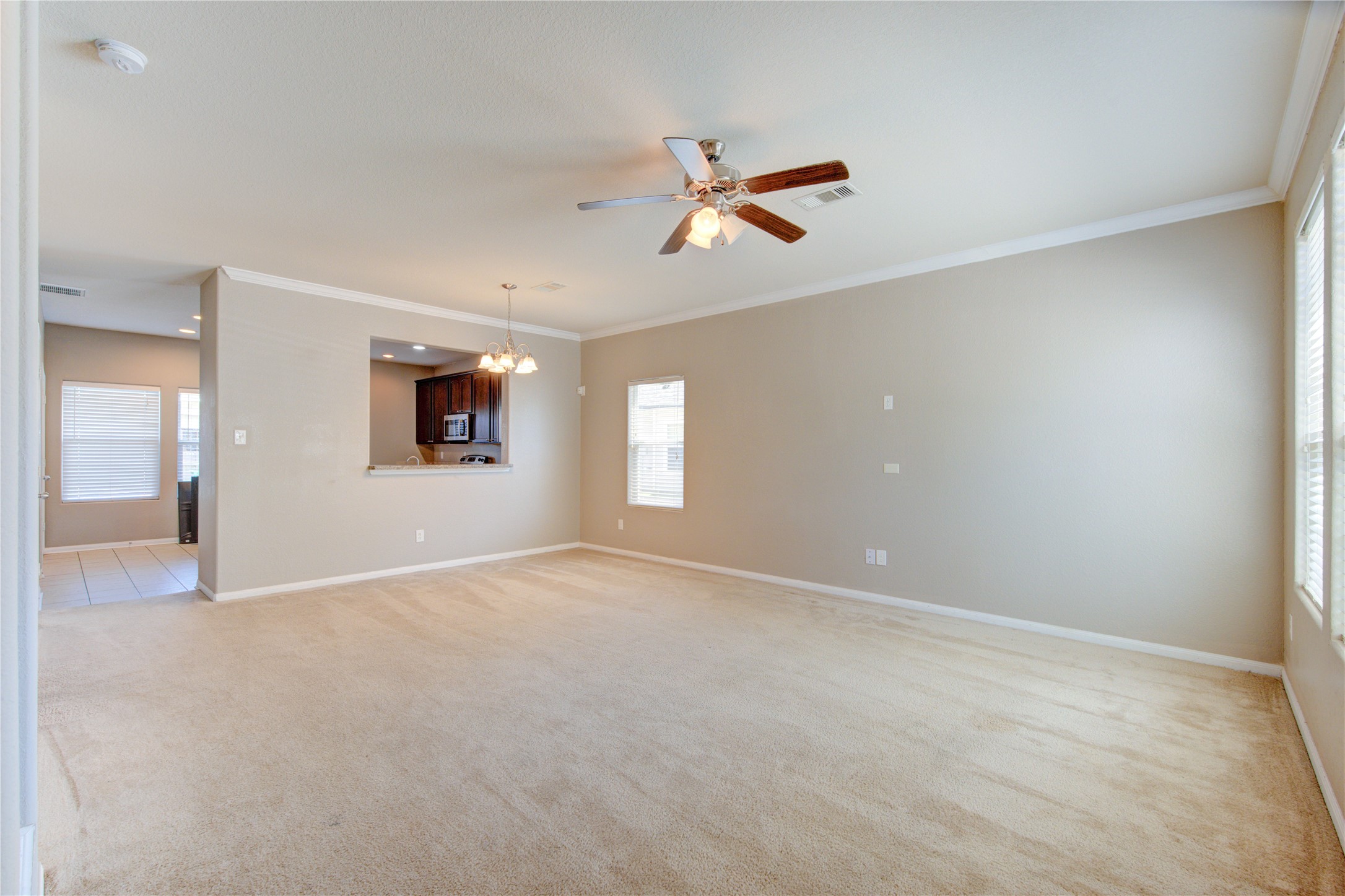 16726 Mammoth Springs Drive Property Photo 21