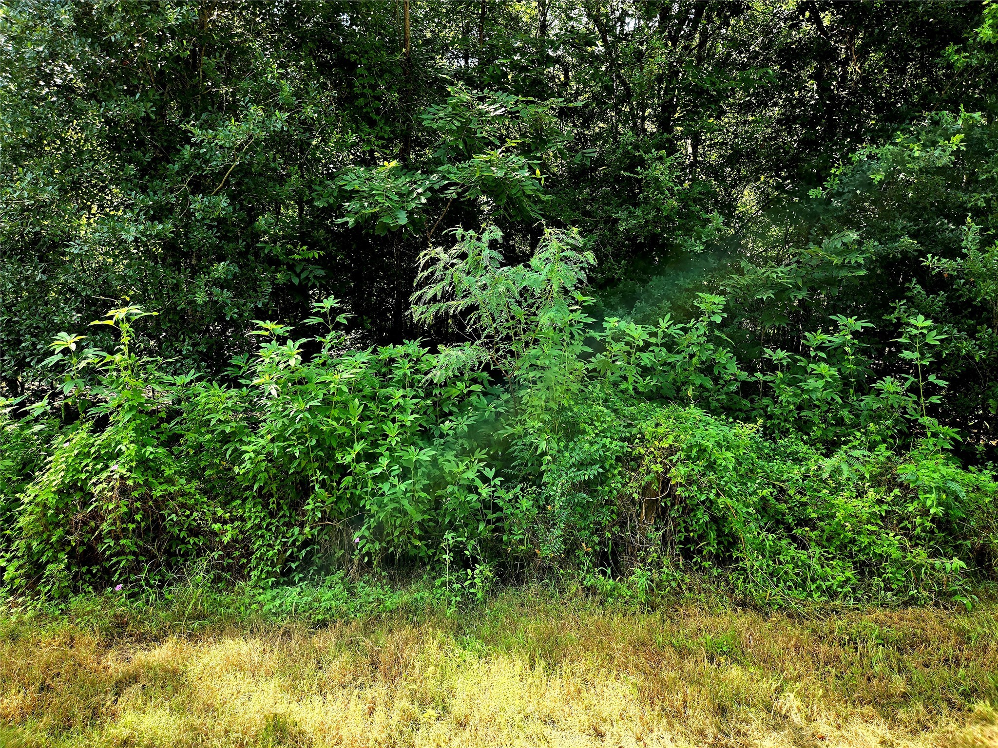 005 Cr-610 Property Photo 1