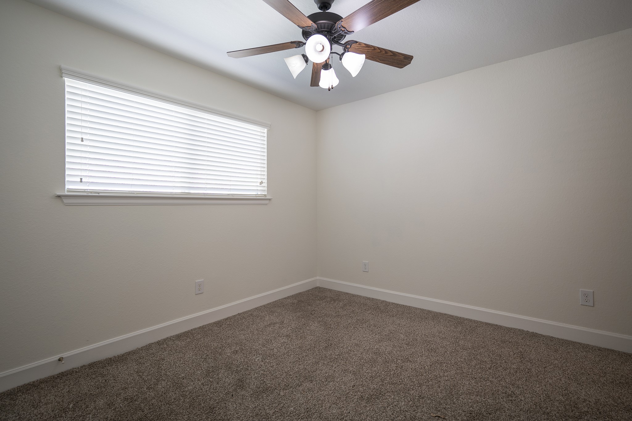 4210 Darter Street Property Photo 12