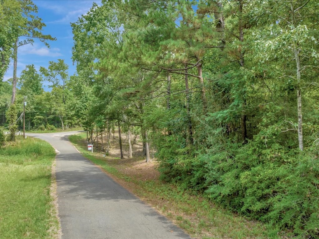TBD Commodore And Brame Drive Property Photo 1