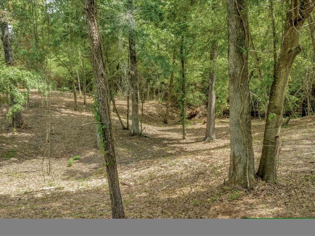 Tbd Commodore And Brame Drive Property Photo 2