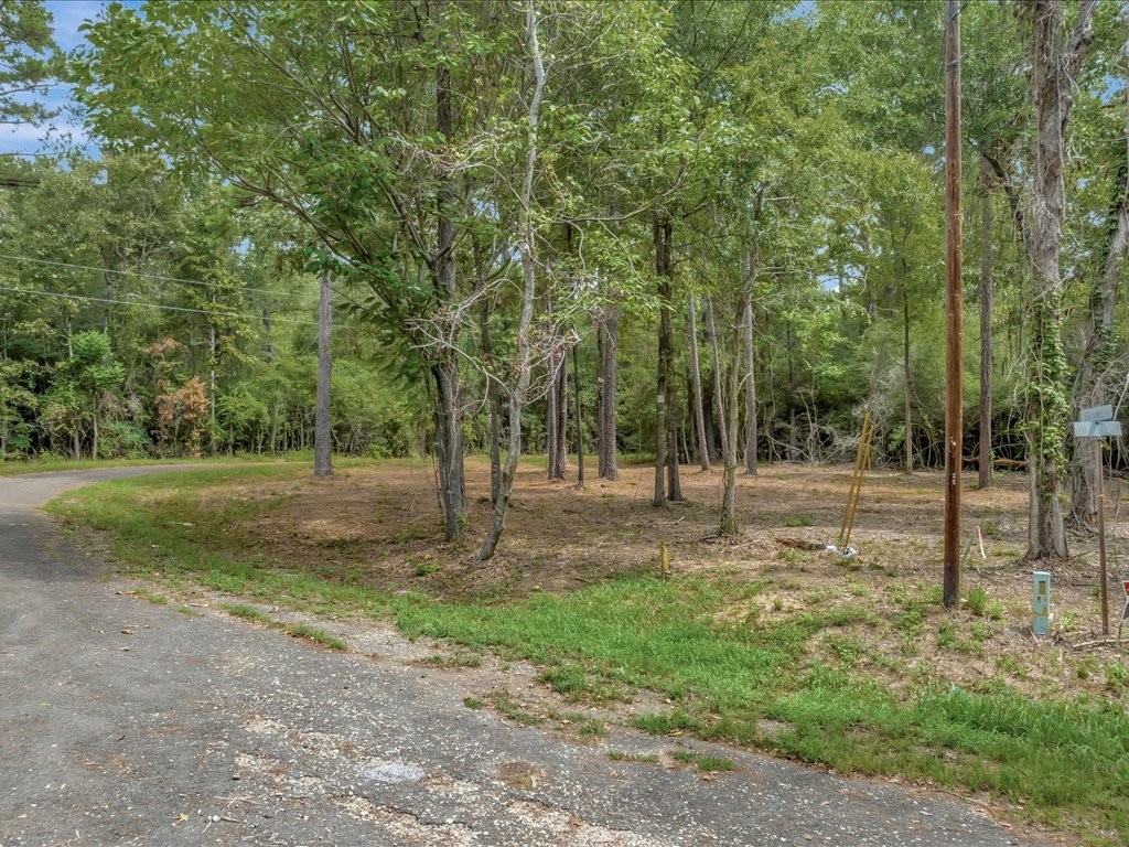 Tbd Commodore And Brame Drive Property Photo 3