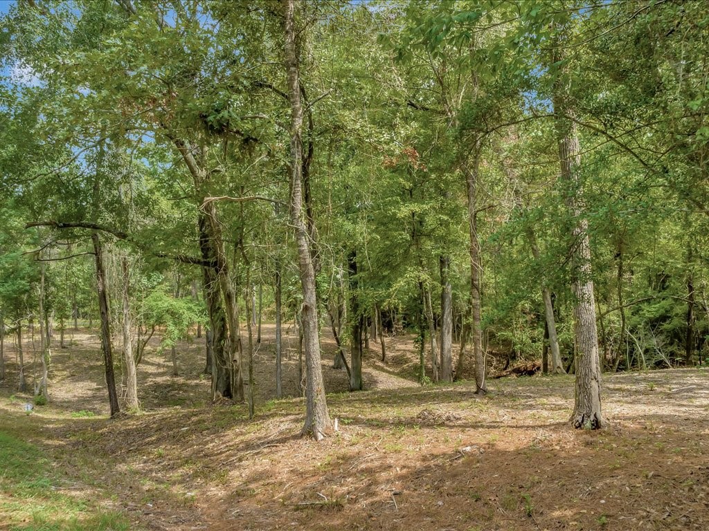 Tbd Commodore And Brame Drive Property Photo 4