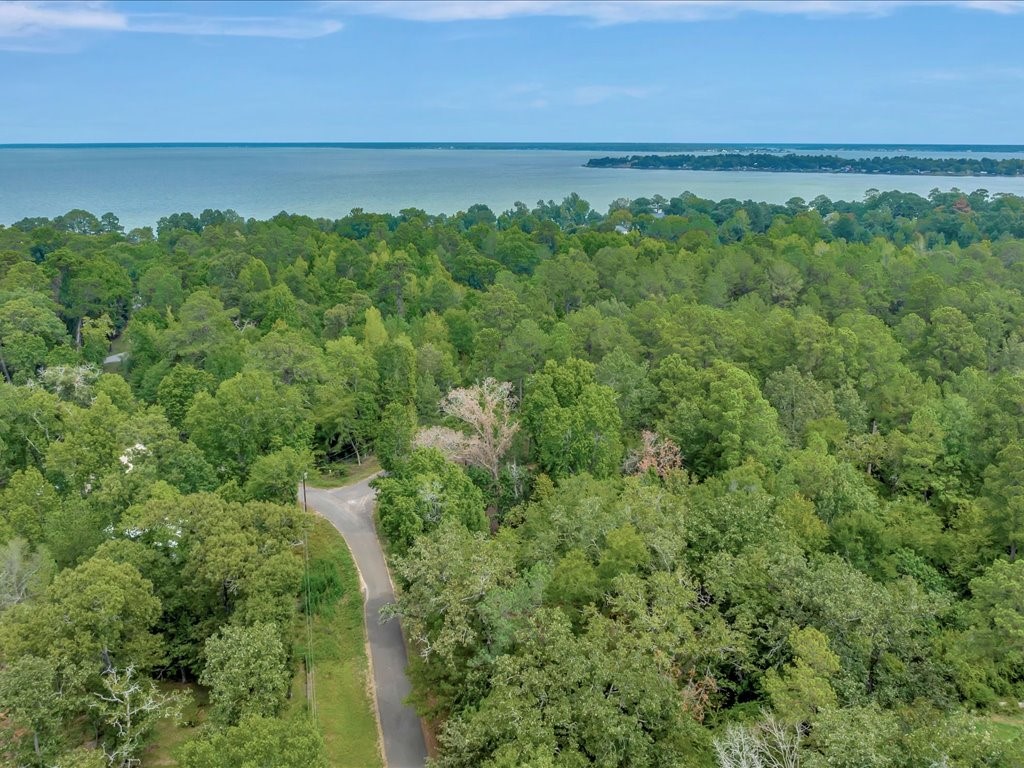 Tbd Commodore And Brame Drive Property Photo 5