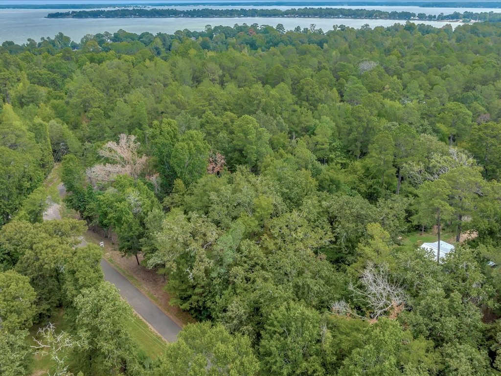 Tbd Commodore And Brame Drive Property Photo 7