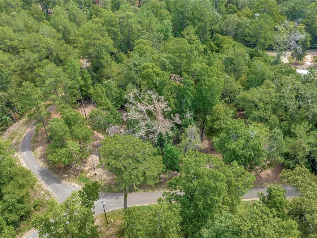 Tbd Commodore And Brame Drive Property Photo 8