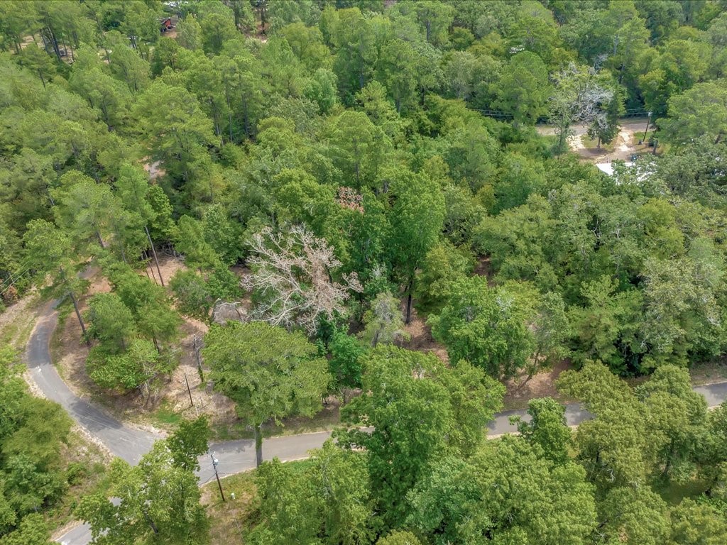 Tbd Commodore And Brame Drive Property Photo 9