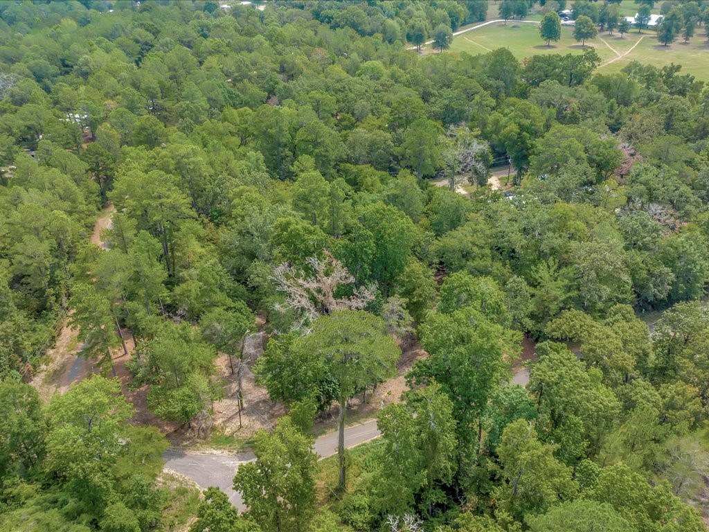 Tbd Commodore And Brame Drive Property Photo 10
