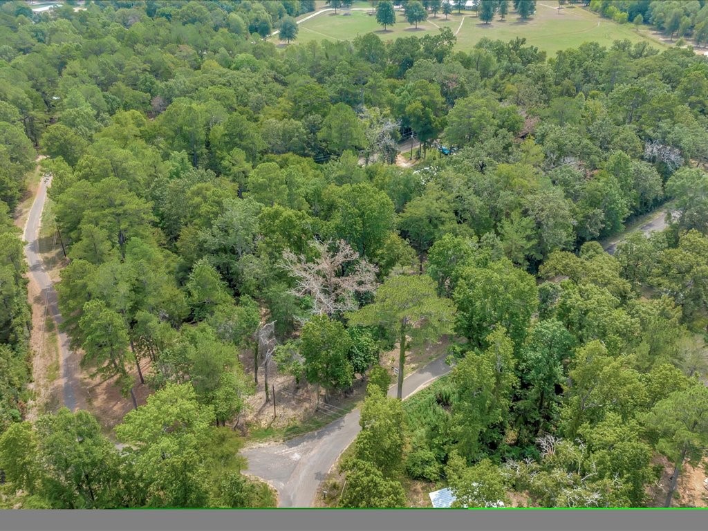 Tbd Commodore And Brame Drive Property Photo 11
