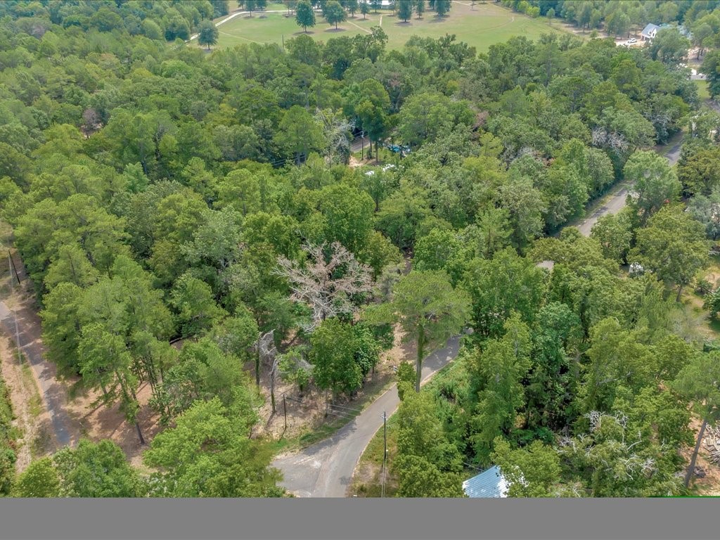 Tbd Commodore And Brame Drive Property Photo 12