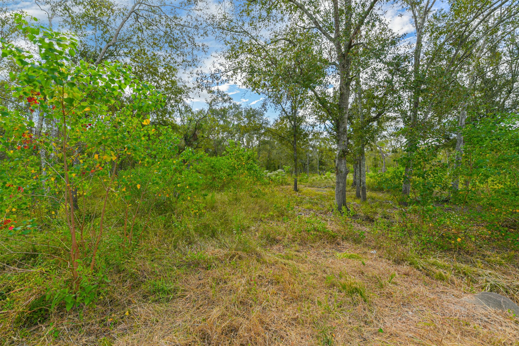 0 Live Oak St Property Photo 2