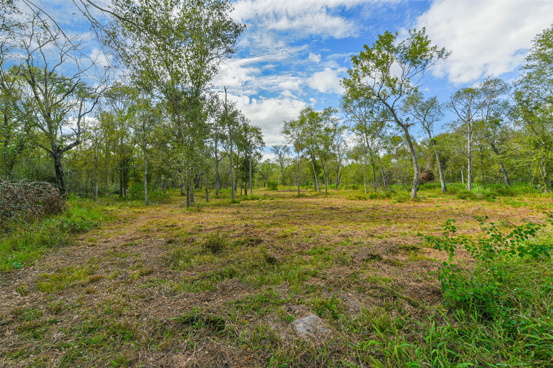 0 Live Oak St Property Photo 4