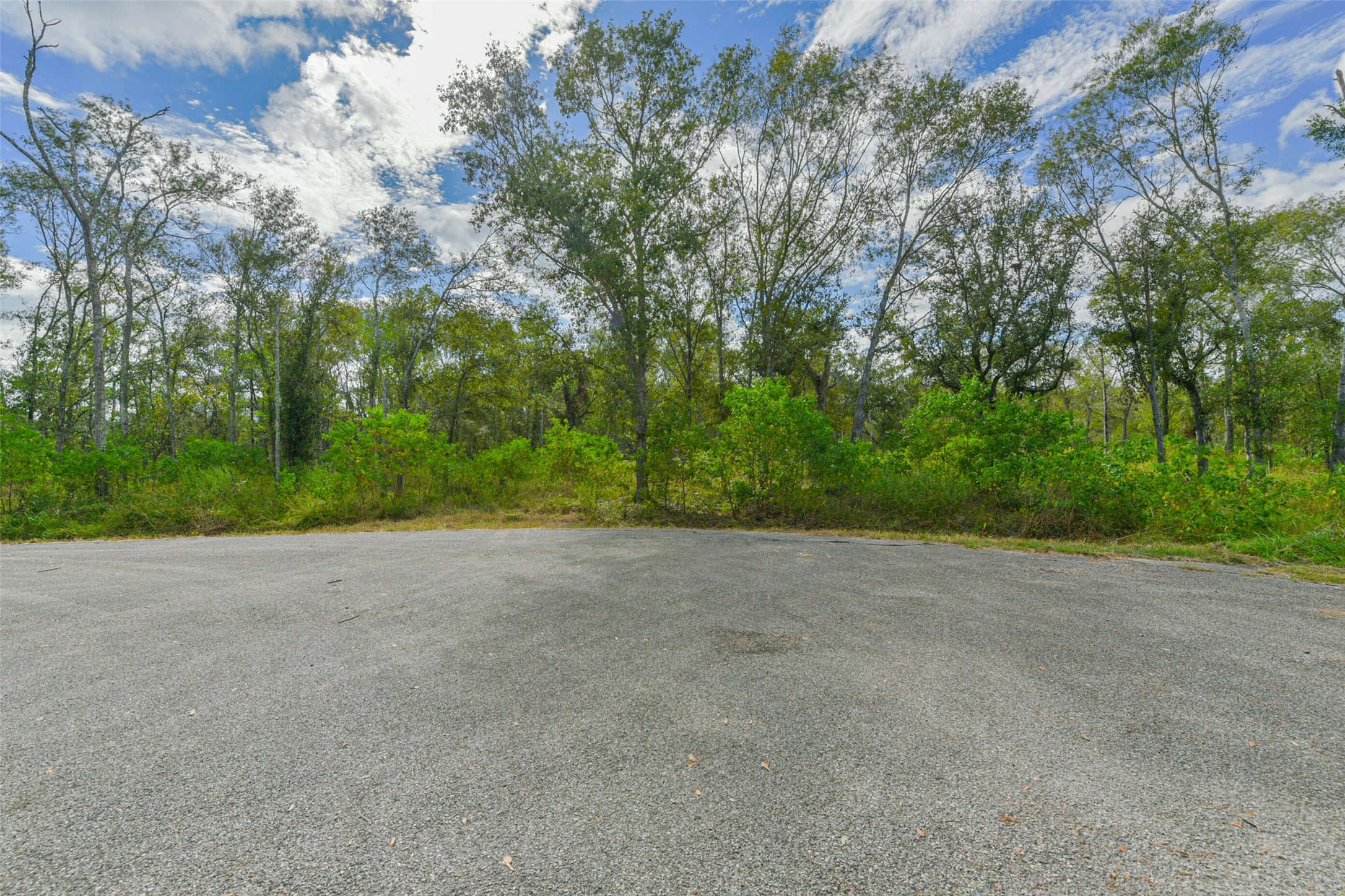 0 Live Oak St Property Photo 5