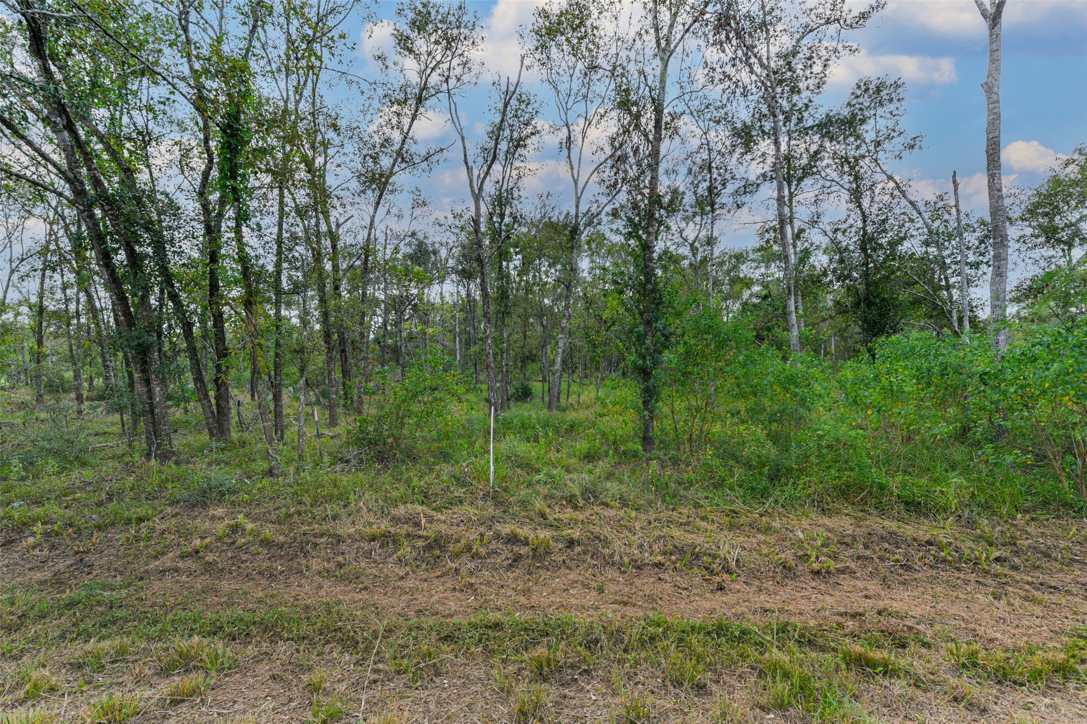 0 Live Oak St Property Photo 18