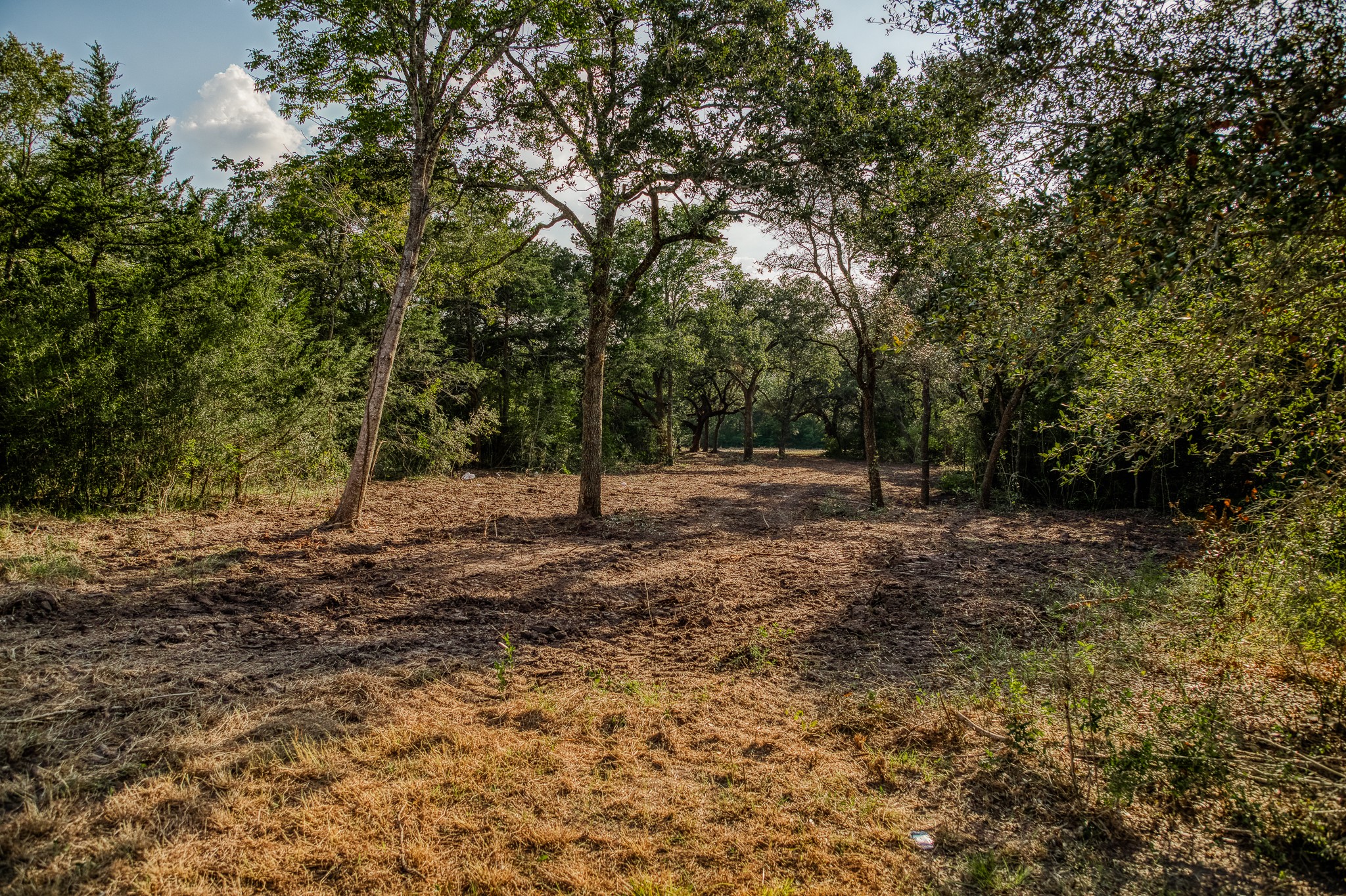 Tract 4 Sun Oil Road Property Photo 2