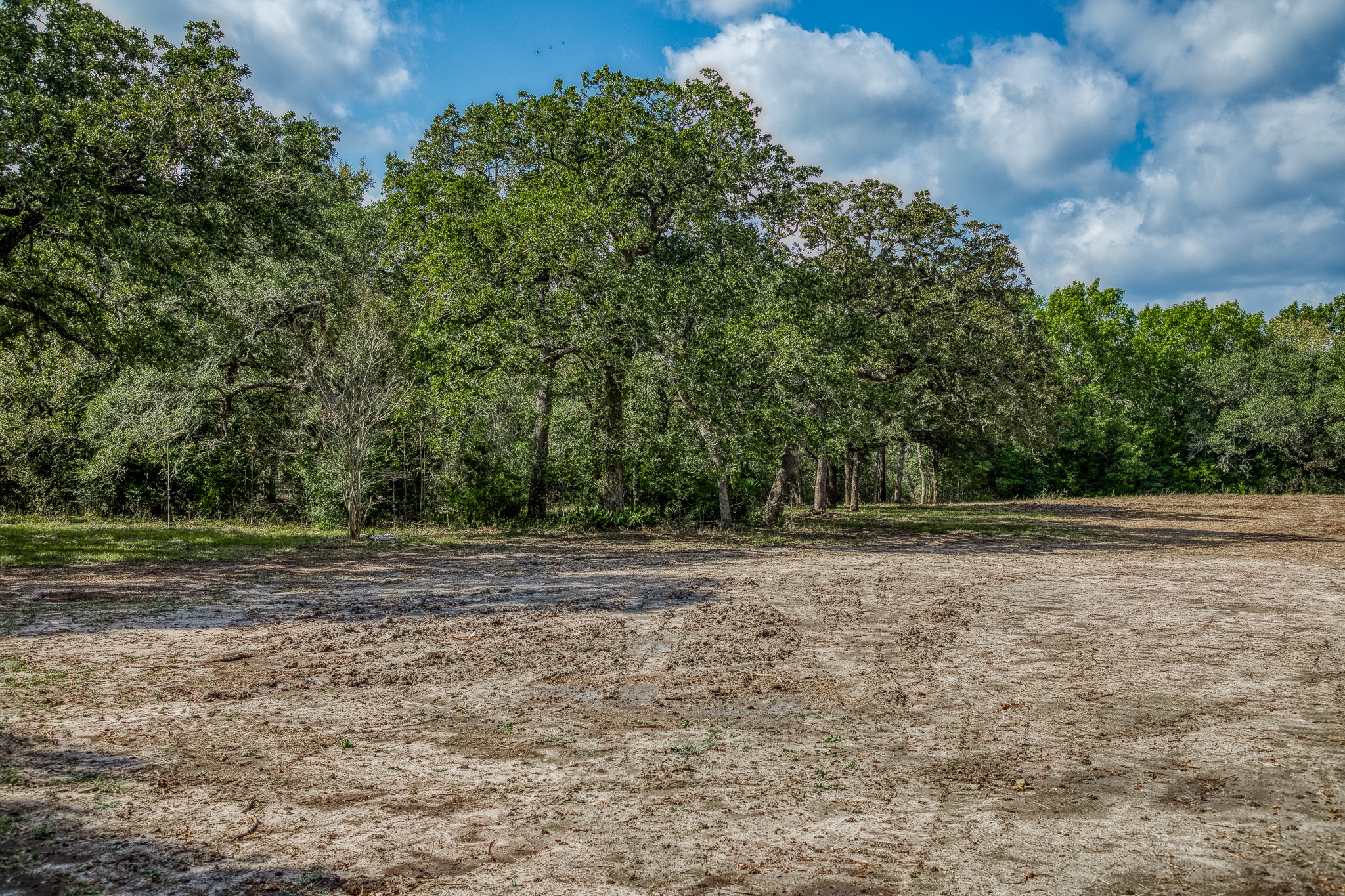 Tract 4 Sun Oil Road Property Photo 5
