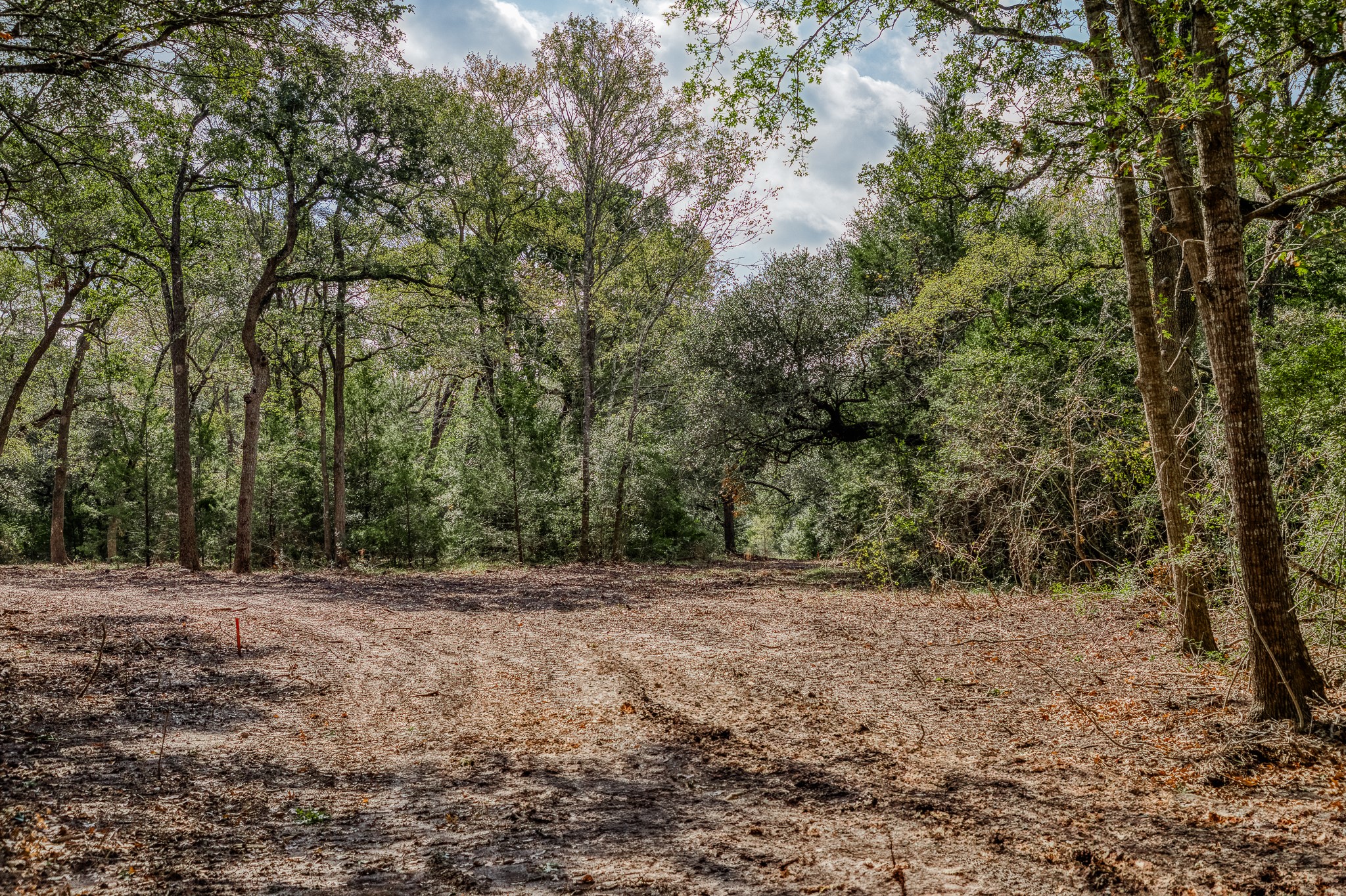 Tract 4 Sun Oil Road Property Photo 8
