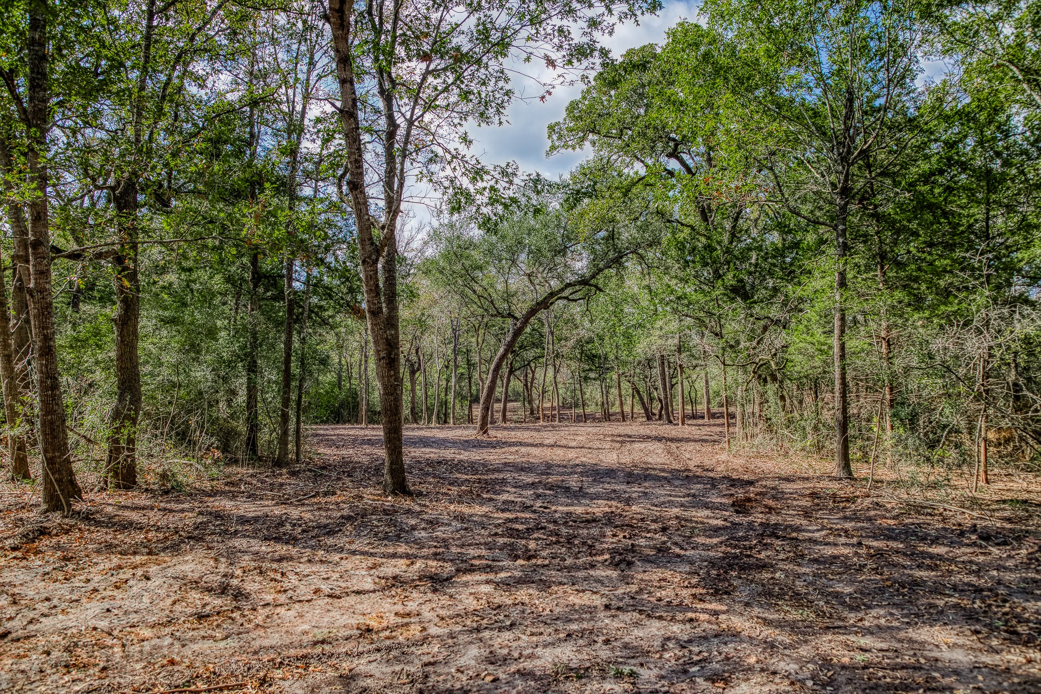 Tract 4 Sun Oil Road Property Photo 9