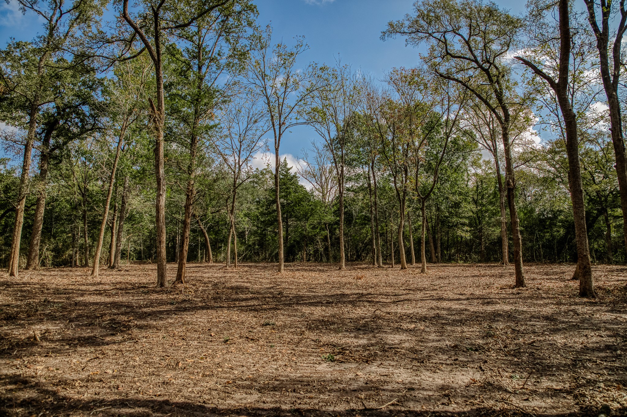 Tract 4 Sun Oil Road Property Photo 13