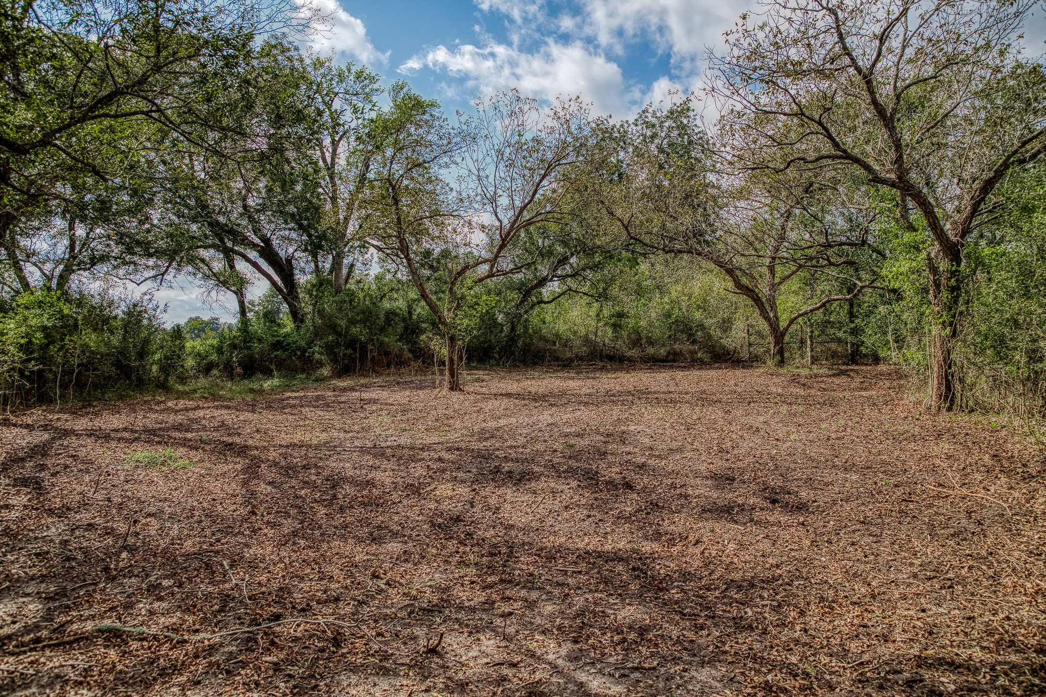 Tract 4 Sun Oil Road Property Photo 20