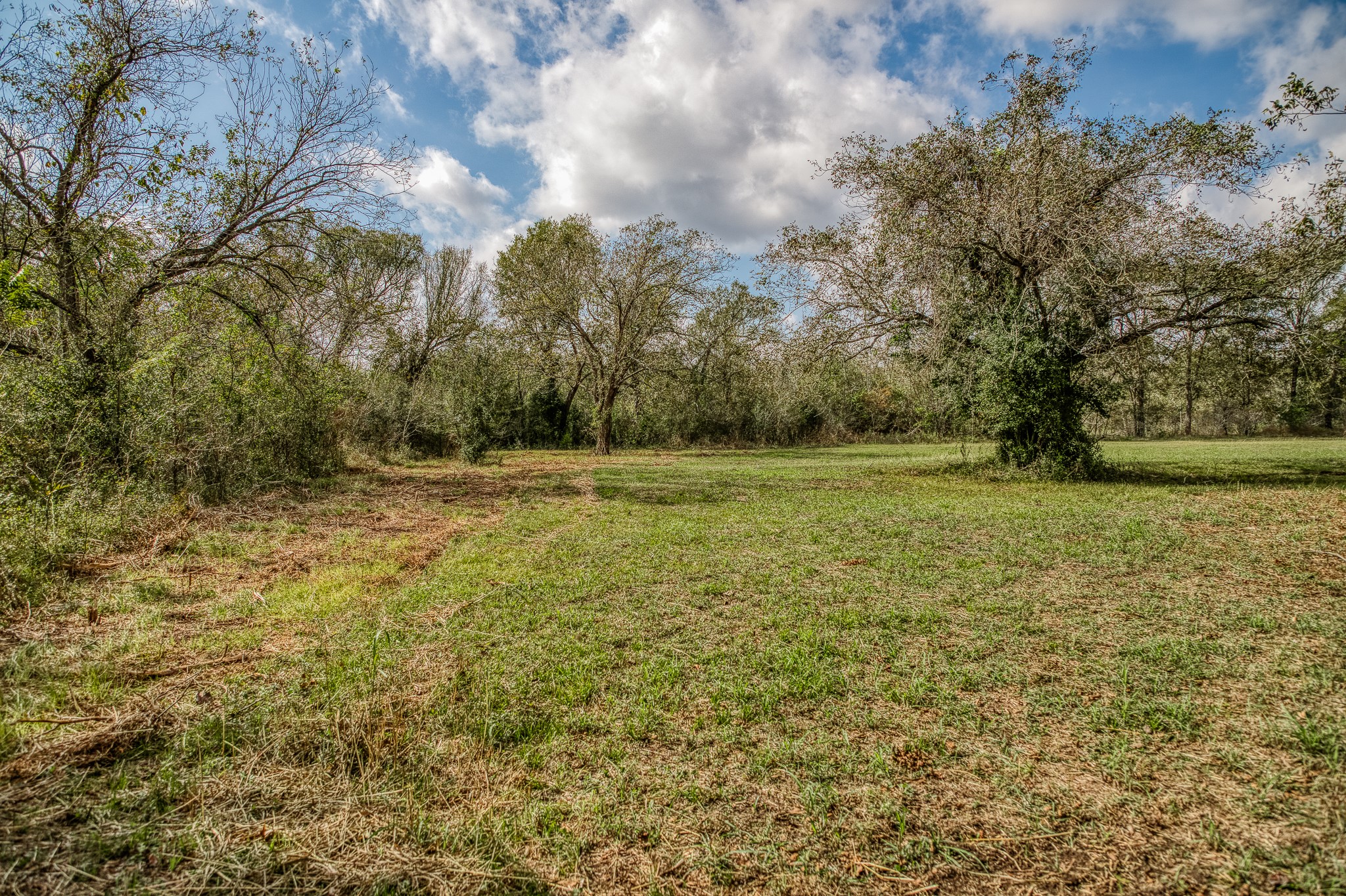 Tract 4 Sun Oil Road Property Photo 23