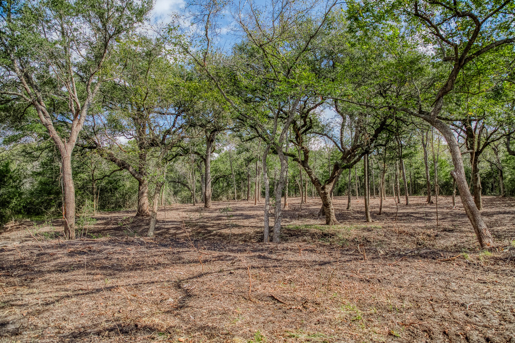 Tract 4 Sun Oil Road Property Photo 27