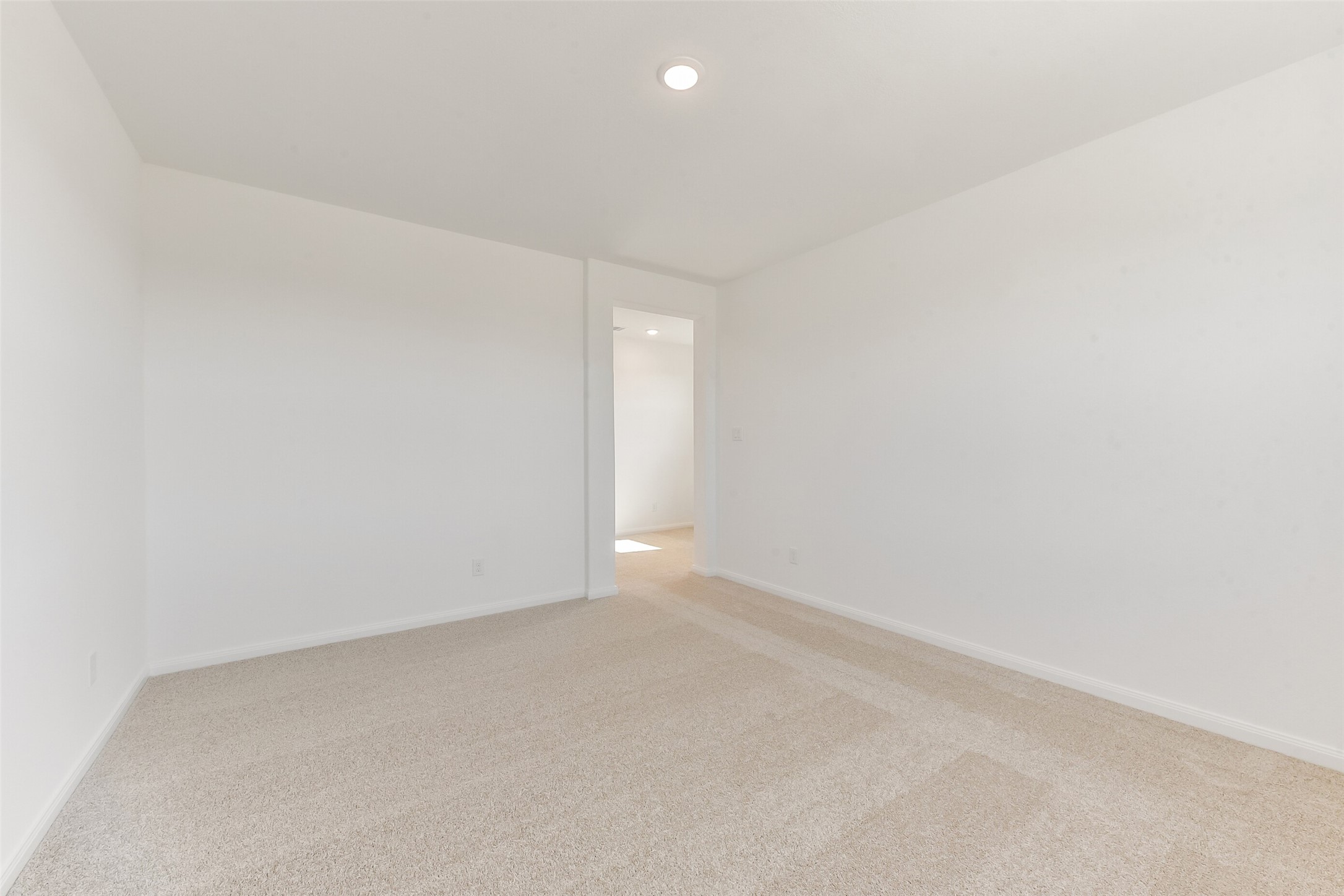 4229 Red Cedar Ring Lane Property Photo 30