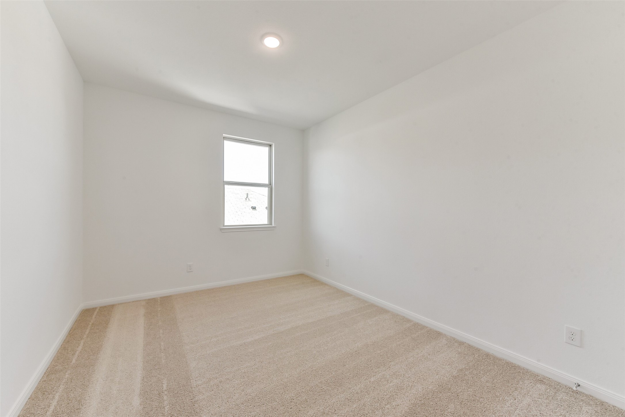 4229 Red Cedar Ring Lane Property Photo 33
