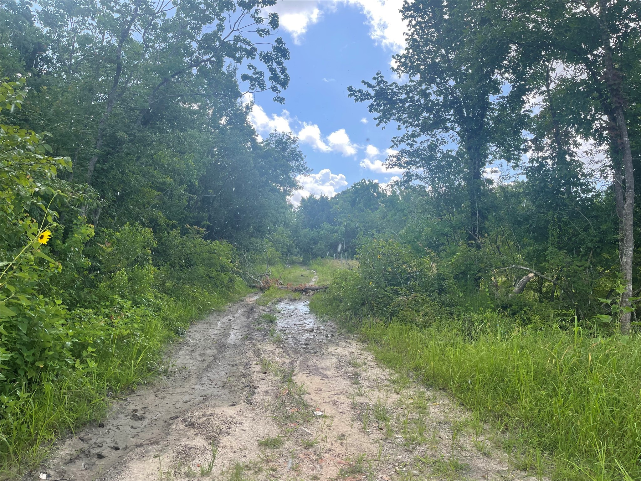 0 Antler Lane Property Photo 1