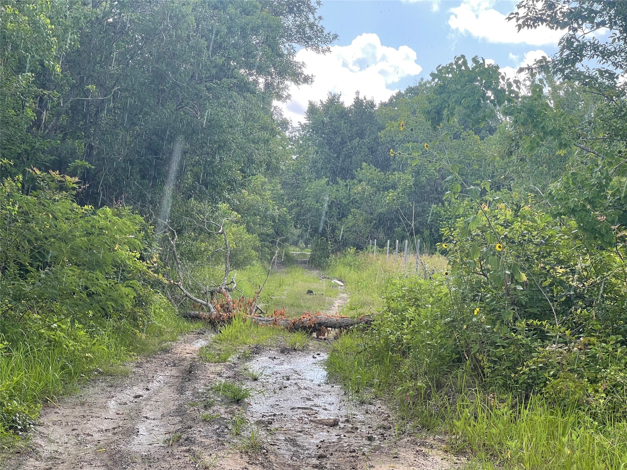 0 Antler Lane Property Photo 2