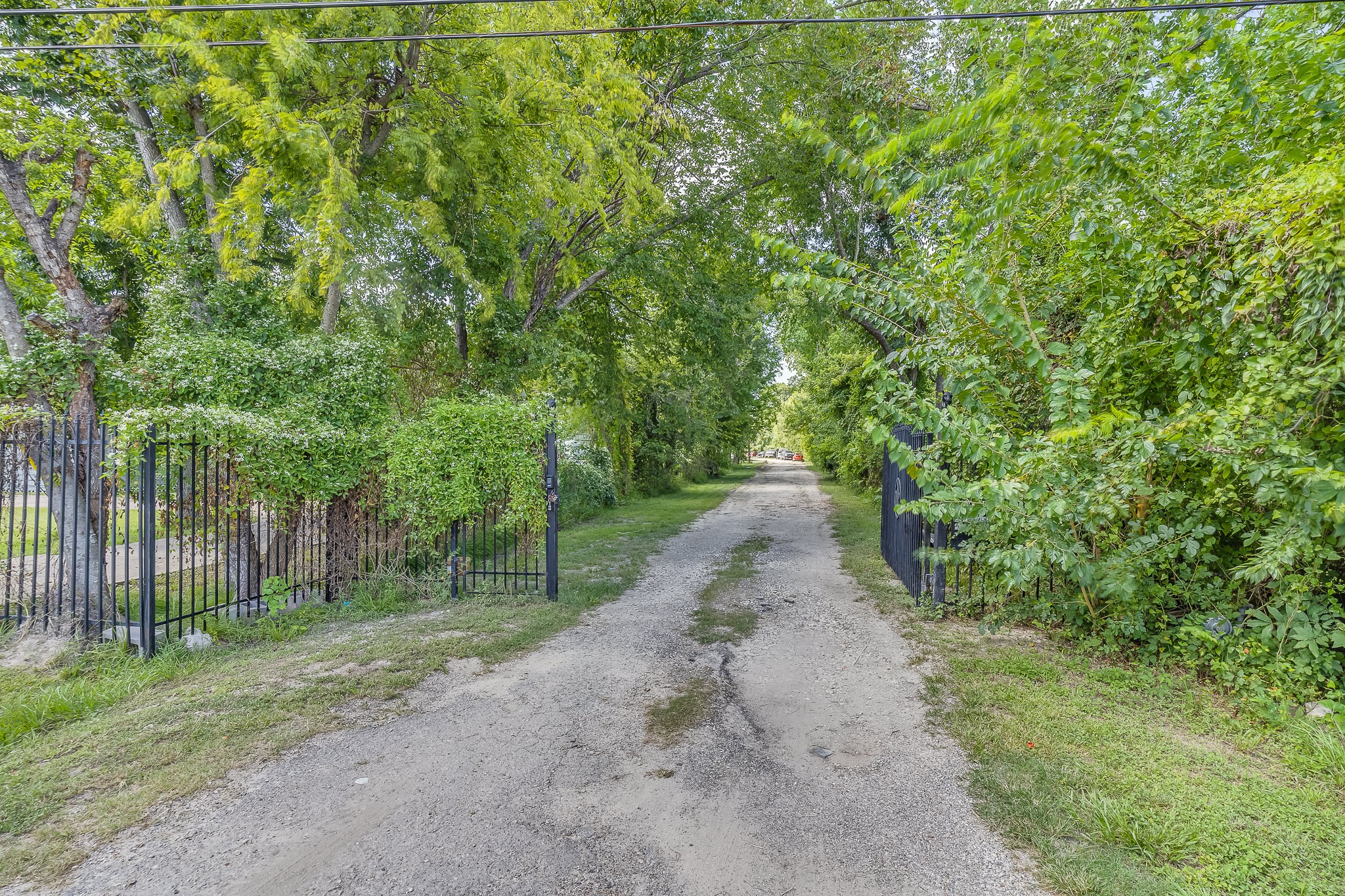 1725 Strawn Road Property Photo 35