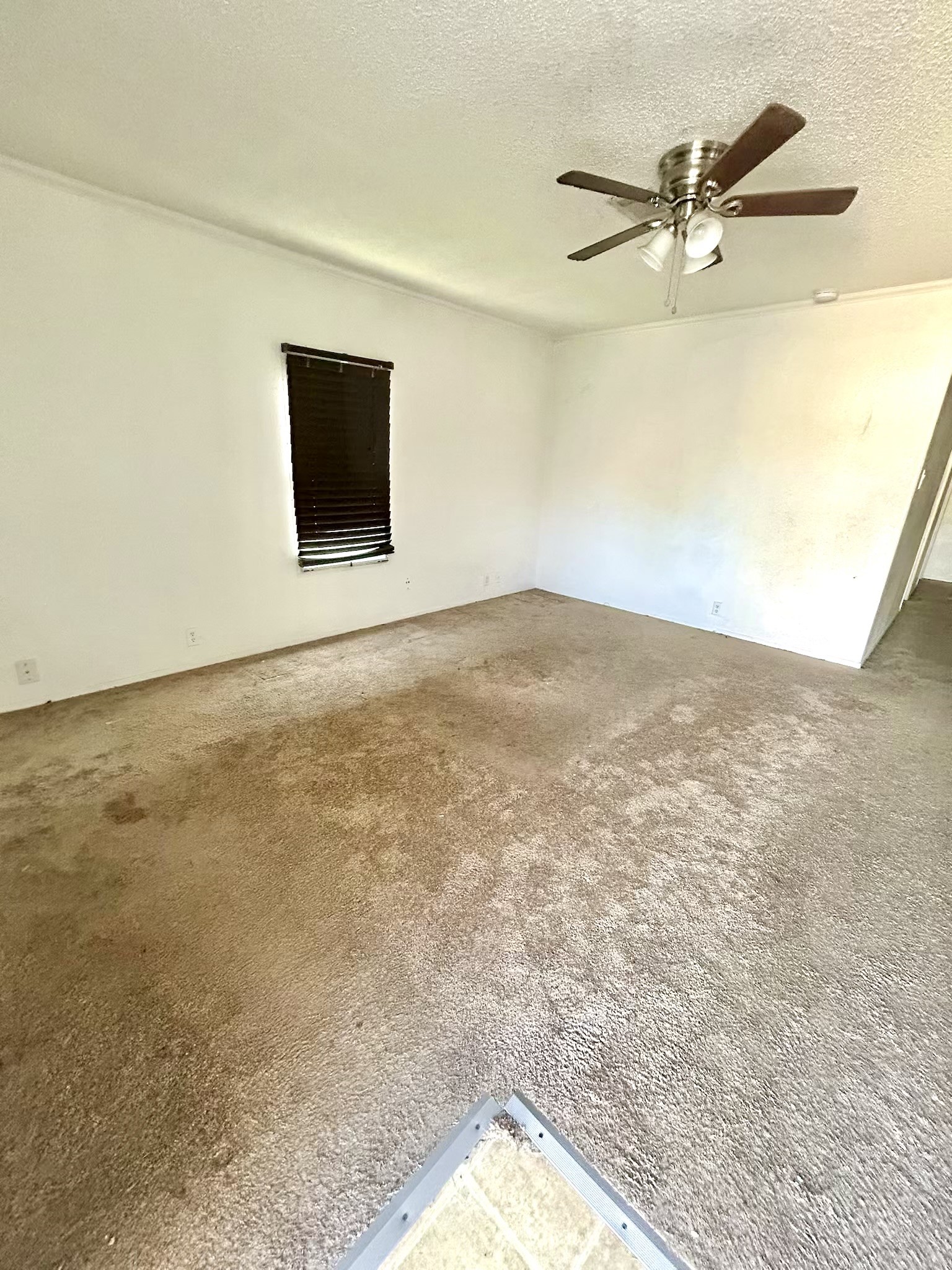 11810 Greenglen Drive Property Photo 9