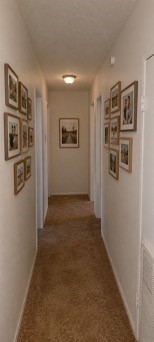 11810 Greenglen Drive Property Photo 10