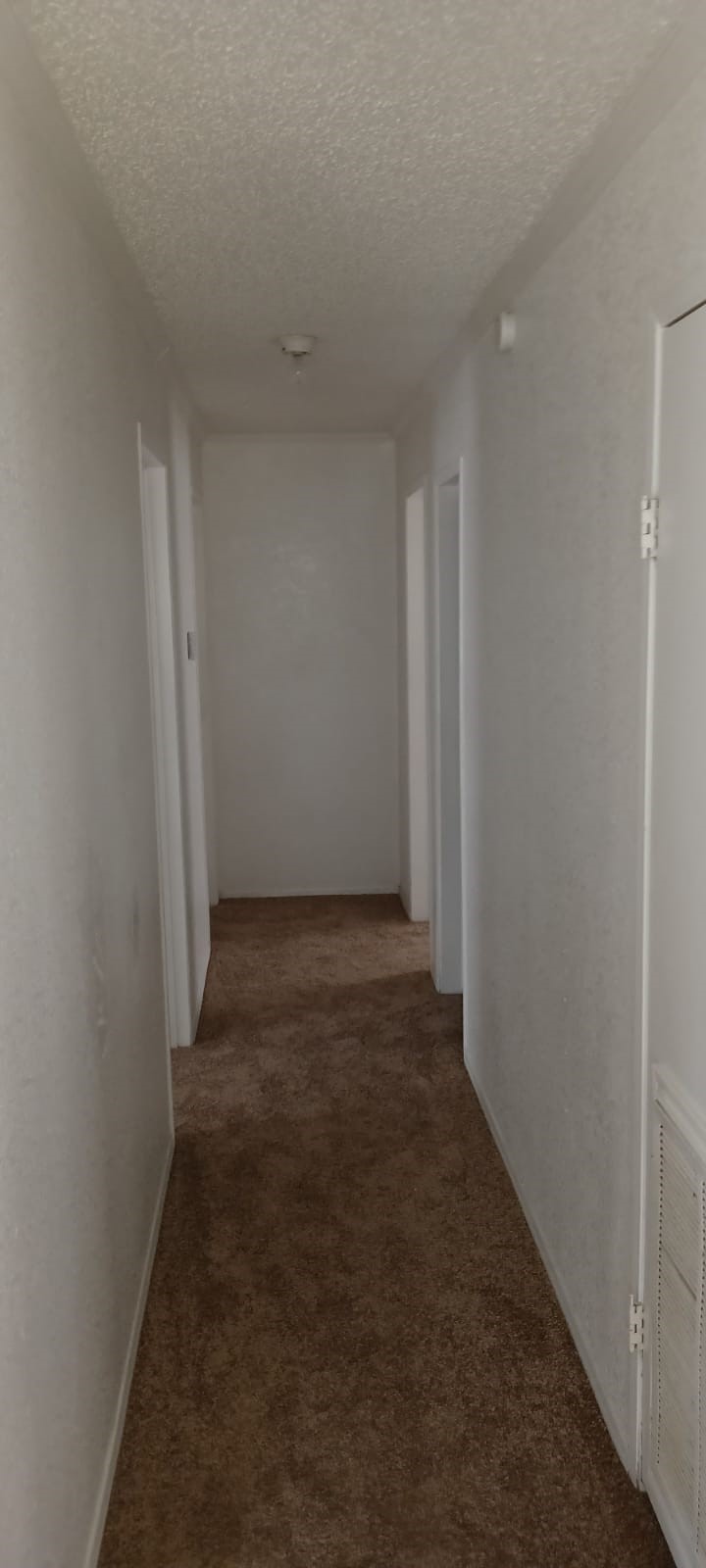 11810 Greenglen Drive Property Photo 11