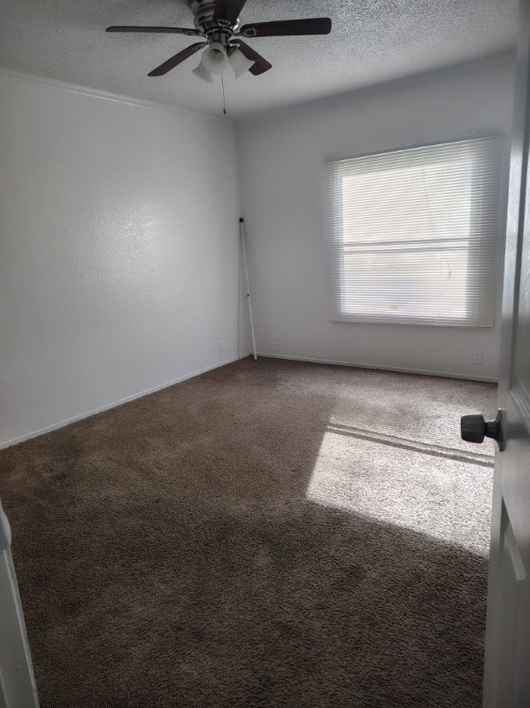 11810 Greenglen Drive Property Photo 13