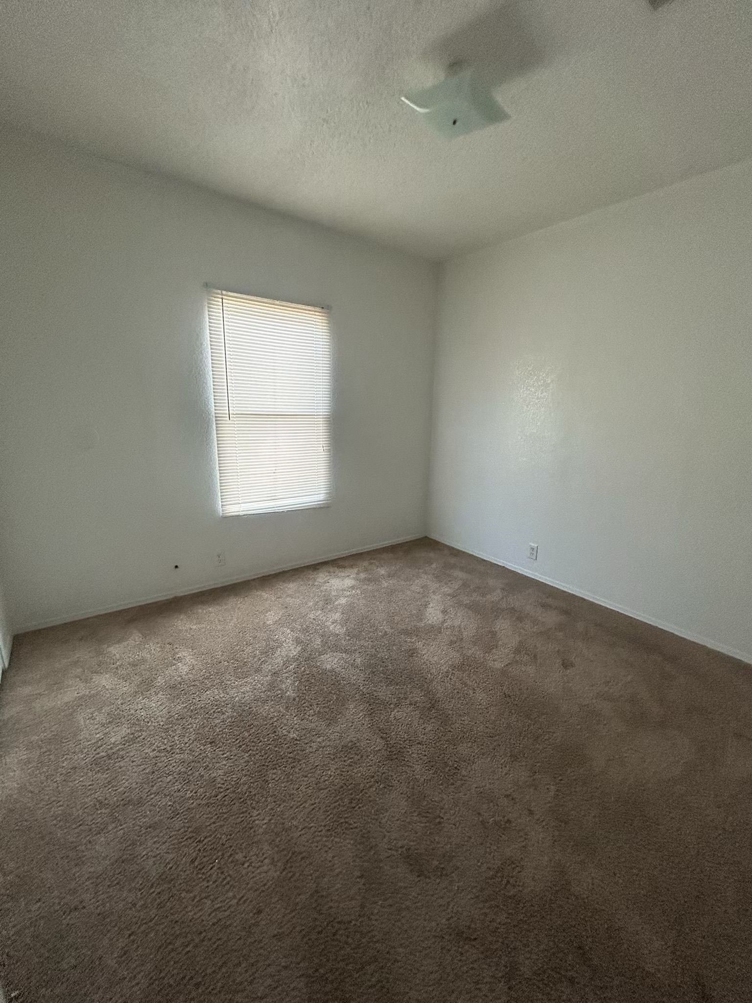 11810 Greenglen Drive Property Photo 17
