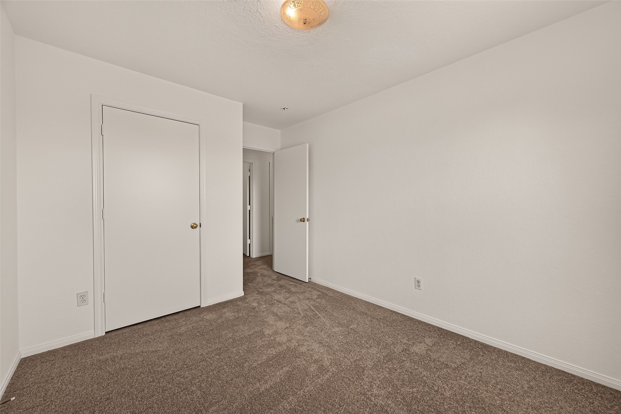 831 Easy St Property Photo 26
