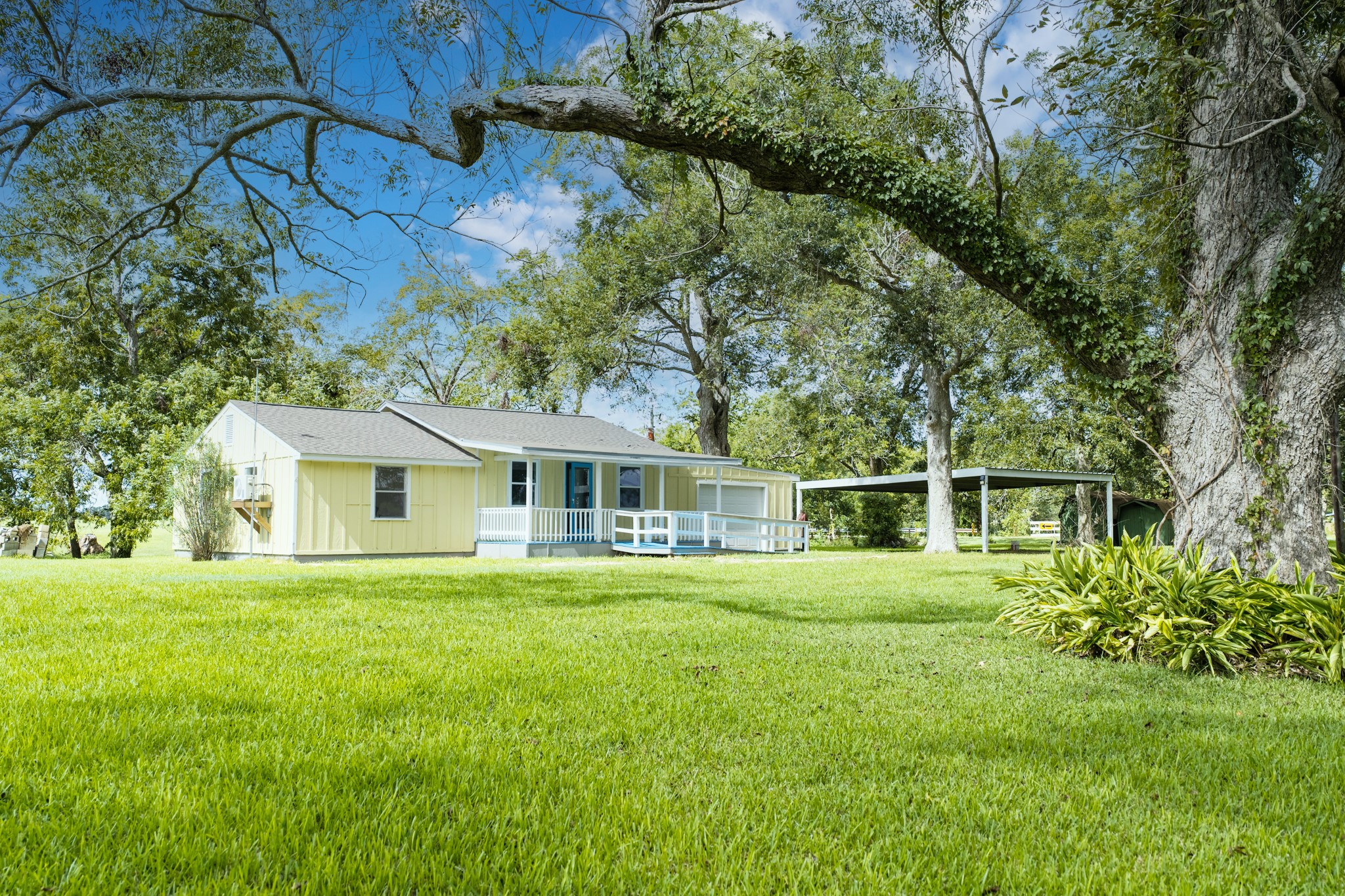 387 County Road 268 Property Photo 1