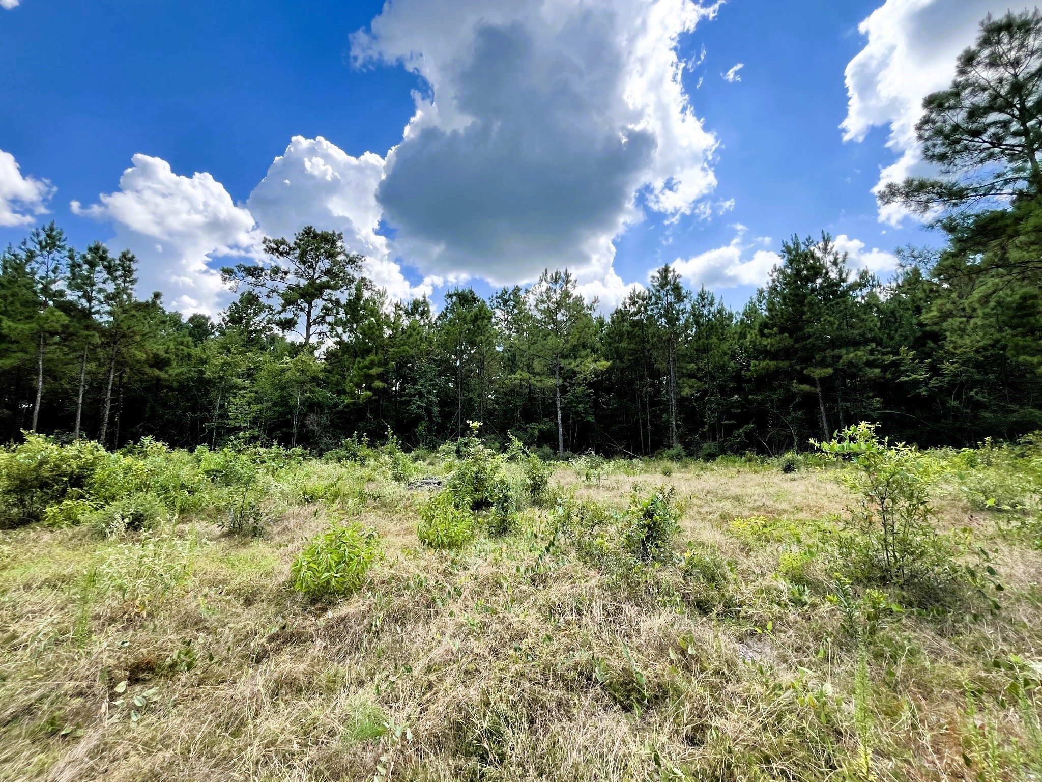 248 County Road 1047 Property Photo 1