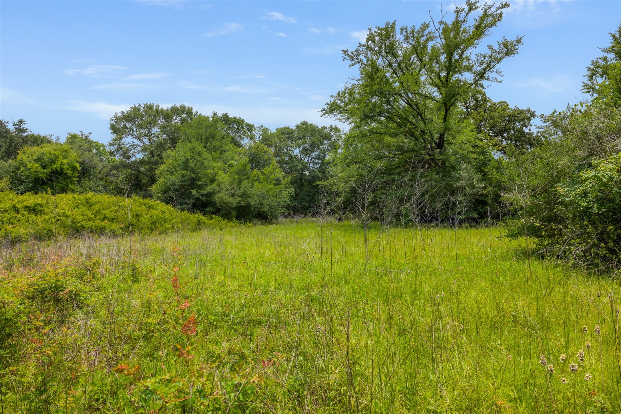 0000 Pickens Road Property Photo 3