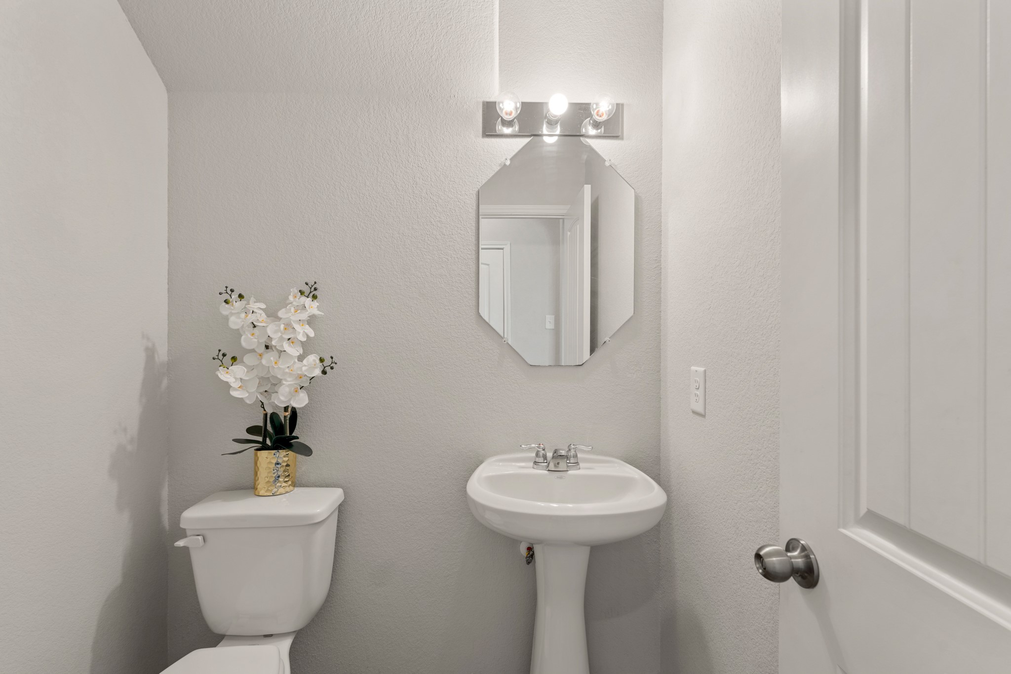 24806 Bastiani Canvas Lane Property Photo 34
