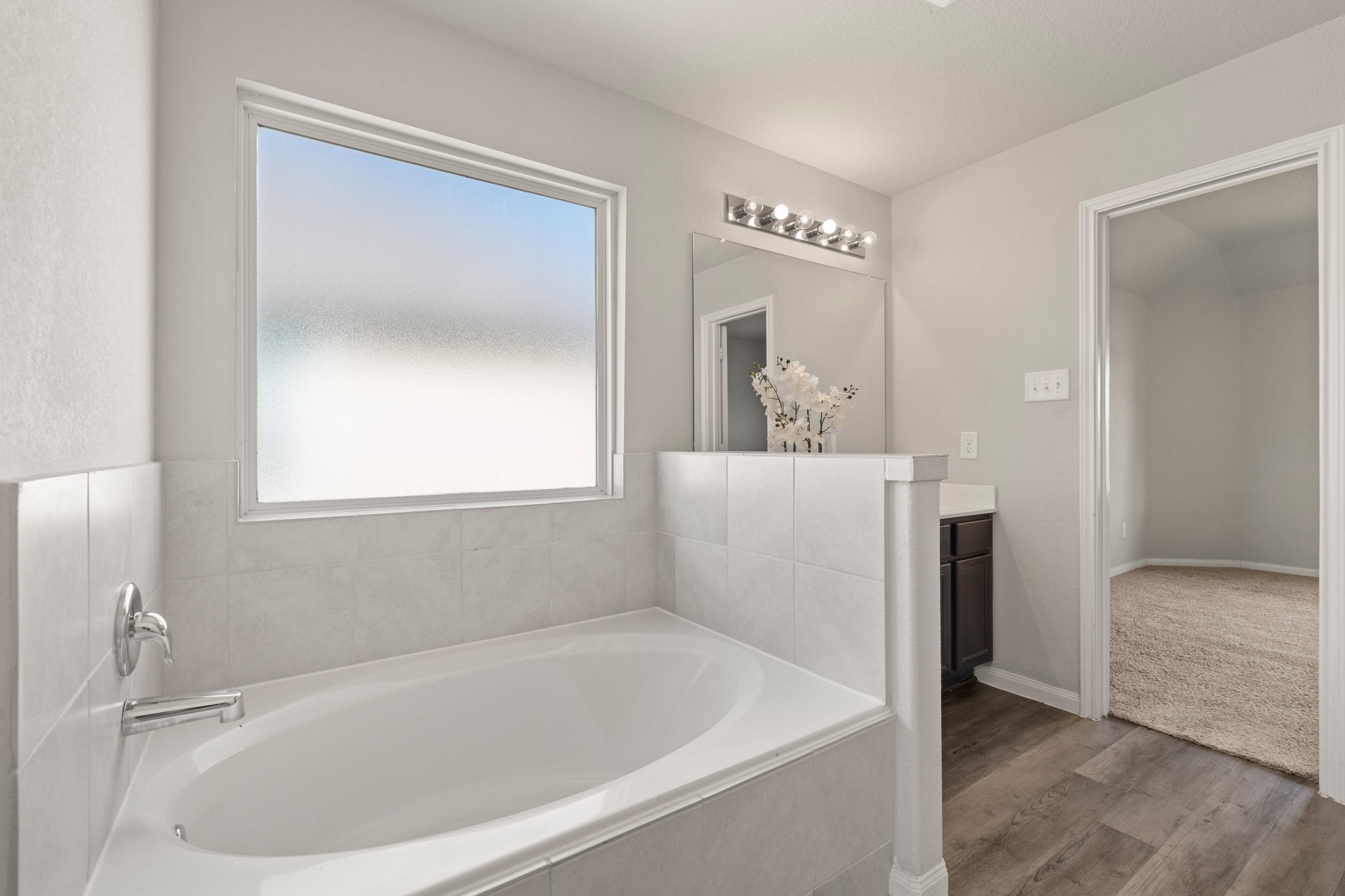 24806 Bastiani Canvas Lane Property Photo 40