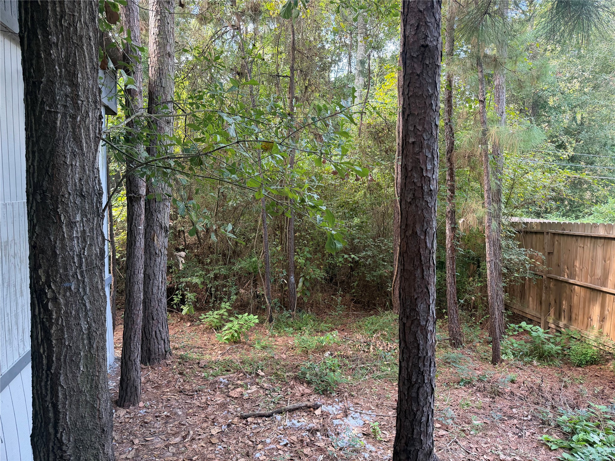 910 Queenswood Property Photo 14