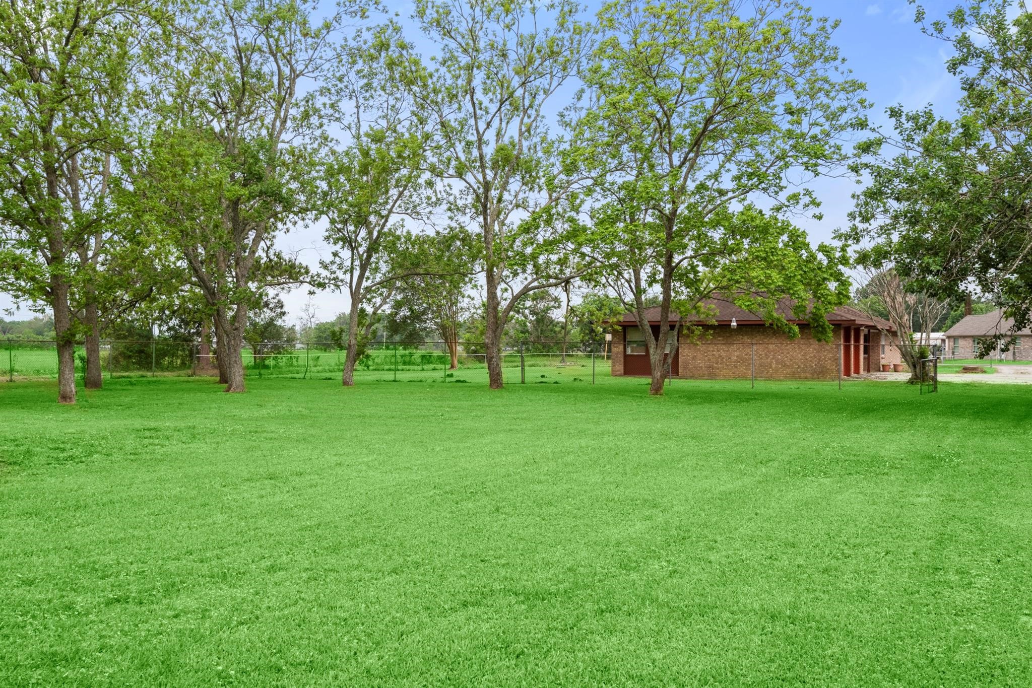 318 County Road 296d Property Photo 20