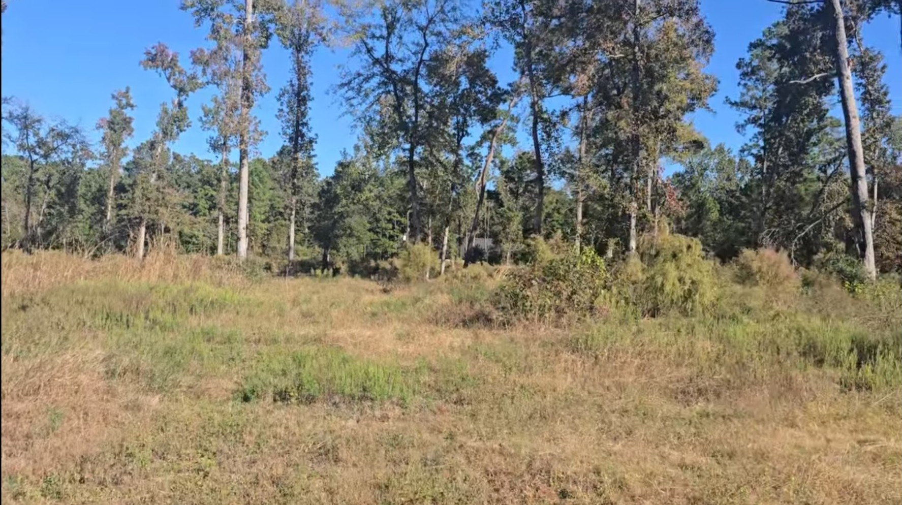 Tract C-3 Gaff Road Property Photo 1