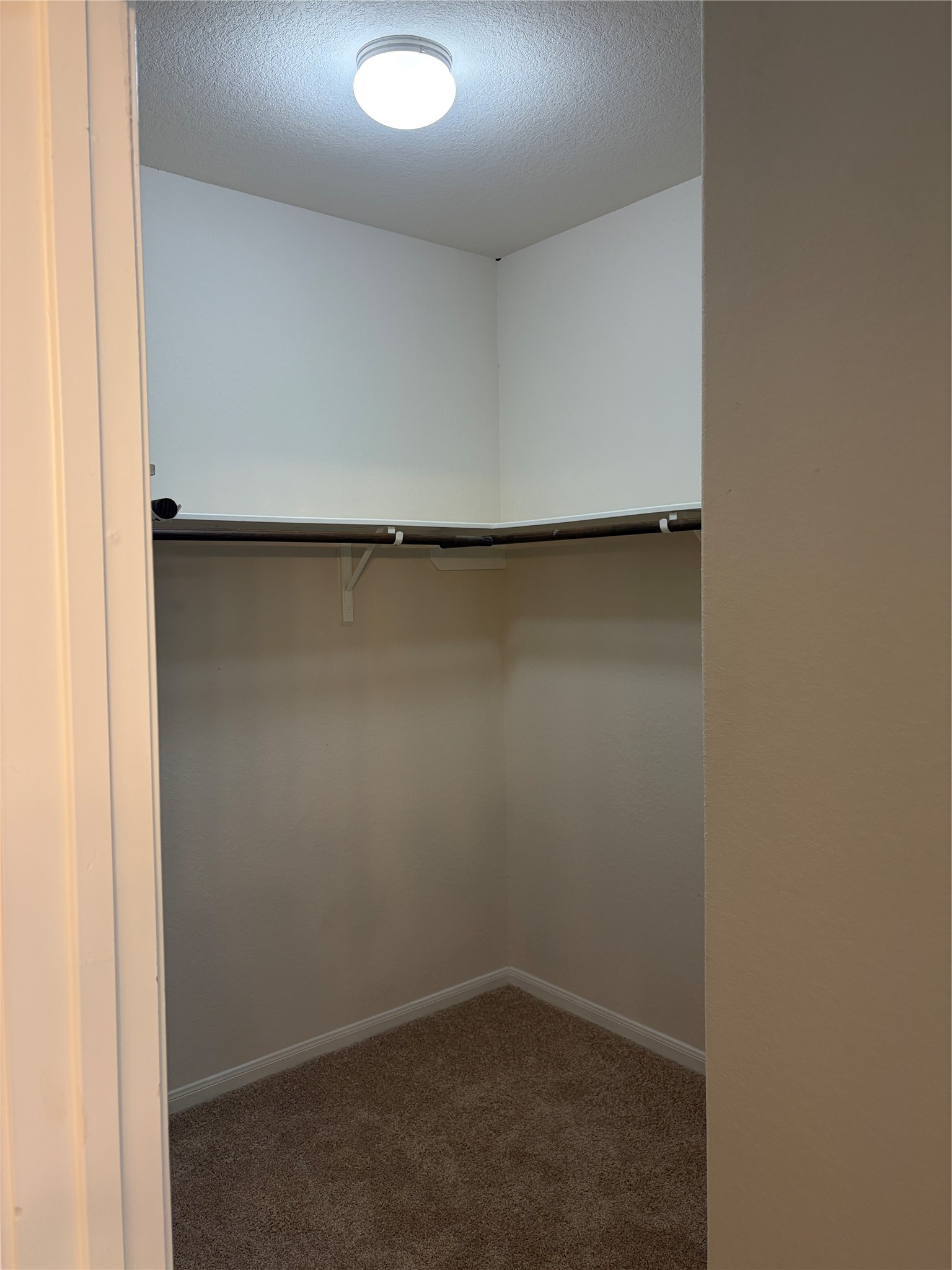 20807 Fair Walnut Way Property Photo 13