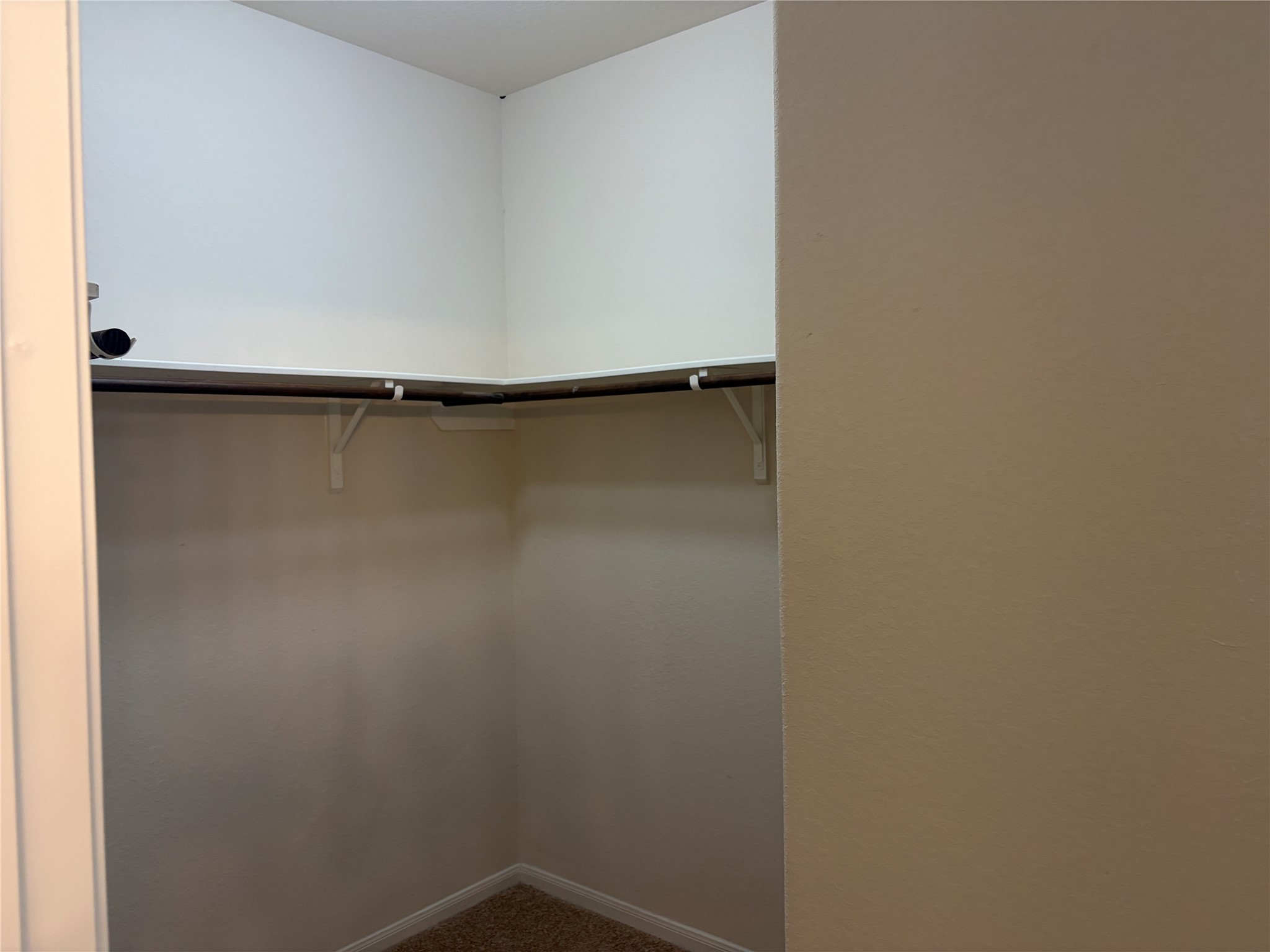 20807 Fair Walnut Way Property Photo 14